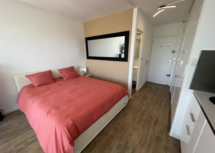 Apartman 4 Personnes Cap D'agde Naturisme Cn060-e30 Agde